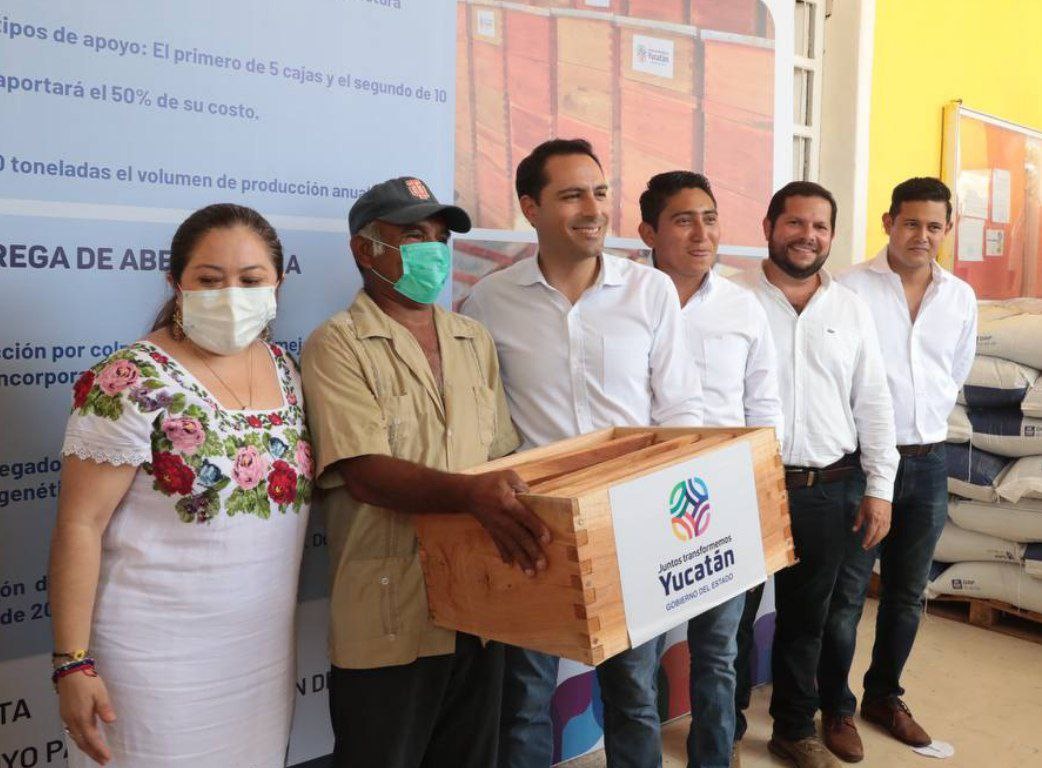 MauVila's tweet photo. Para apoyar a los apicultores entregamos en #Sotuta cajas para la producción de miel de las 25 mil que entregaremos en #Yucatán y paquetes de abejas reina de los 20 mil ejemplares que repartiremos a los productores del estado. Impulsamos la economía y empleos de los yucatecos. https://t.co/7m0vio0eoD