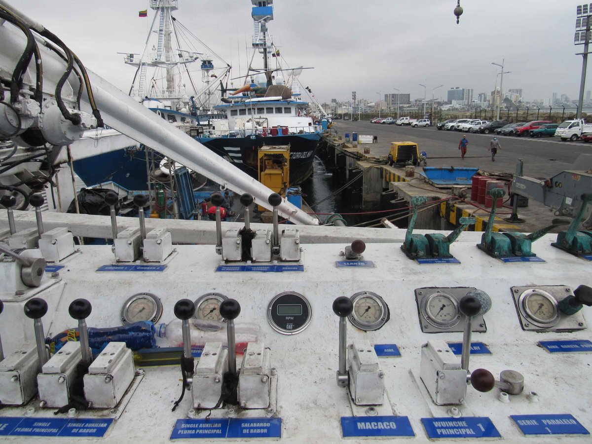 APortuariaManta's tweet photo. ✅Por el #TerminalPesquero arriban barcos industriales con capacidad de más de 2000 toneladas métricas, así como un promedio de 3000 fibras artesanales, que constituyen la mayor flota pesquera del Ecuador.

Desde APM se trabaja intensamente aportando a la economía manabita.👷⚓️🚢 https://t.co/5FDfKziABX