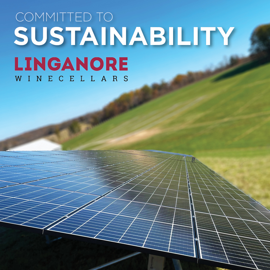 We rely on good land to produce our wonderful wines, so why would we want to hurt it?

Everything we do is done with #sustainability in mind. linganorewines.com/the-winery/sus…
.
#sunstainability #GreenAgriculture #LinganoreWinecellars