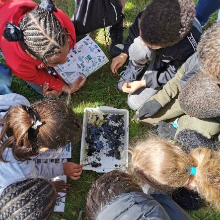 Froglife tweet media