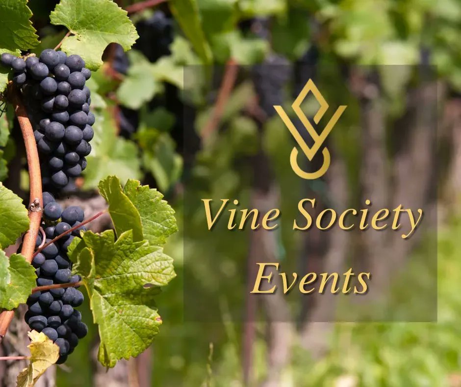 Mark your calendar for August 4, and sign up today for our exclusive Master Class on the wines of Australia, New Zealand, and South Africa! 
buff.ly/3z4UyDN