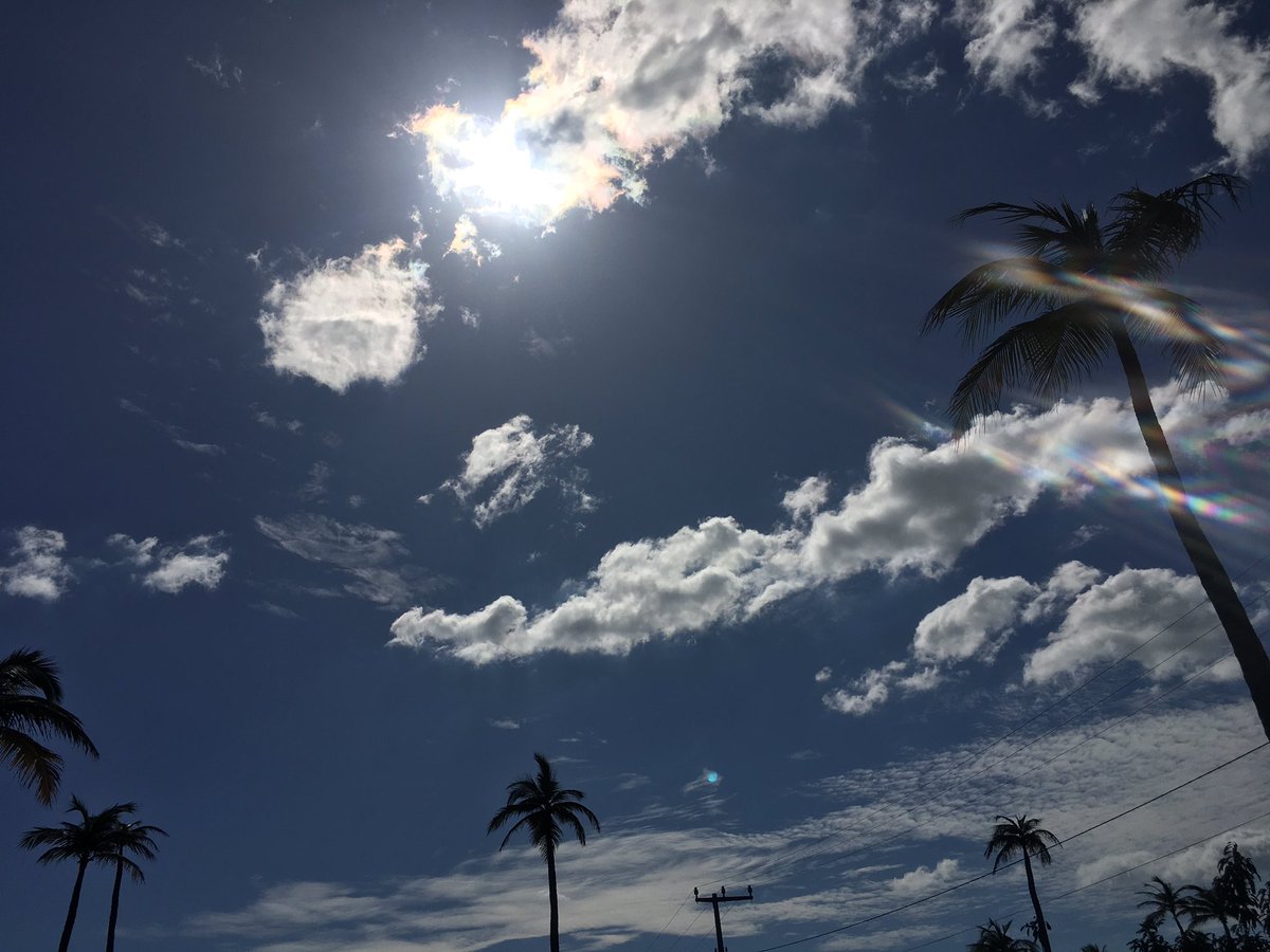 ___WhiteForest's tweet photo. Gm! #NFTCommunity #nftphotography #NFTFam #NFTCommunityCryptoArt 

The sun is shy today 💚 #nofilterneeded 
This photo isn’t a #NFT, but if you like it, I can reserve (DM me)! 🙌🏾 Let’s grow together, frens. 

https://t.co/SedeBWmOSn https://t.co/euzEcQYxsx