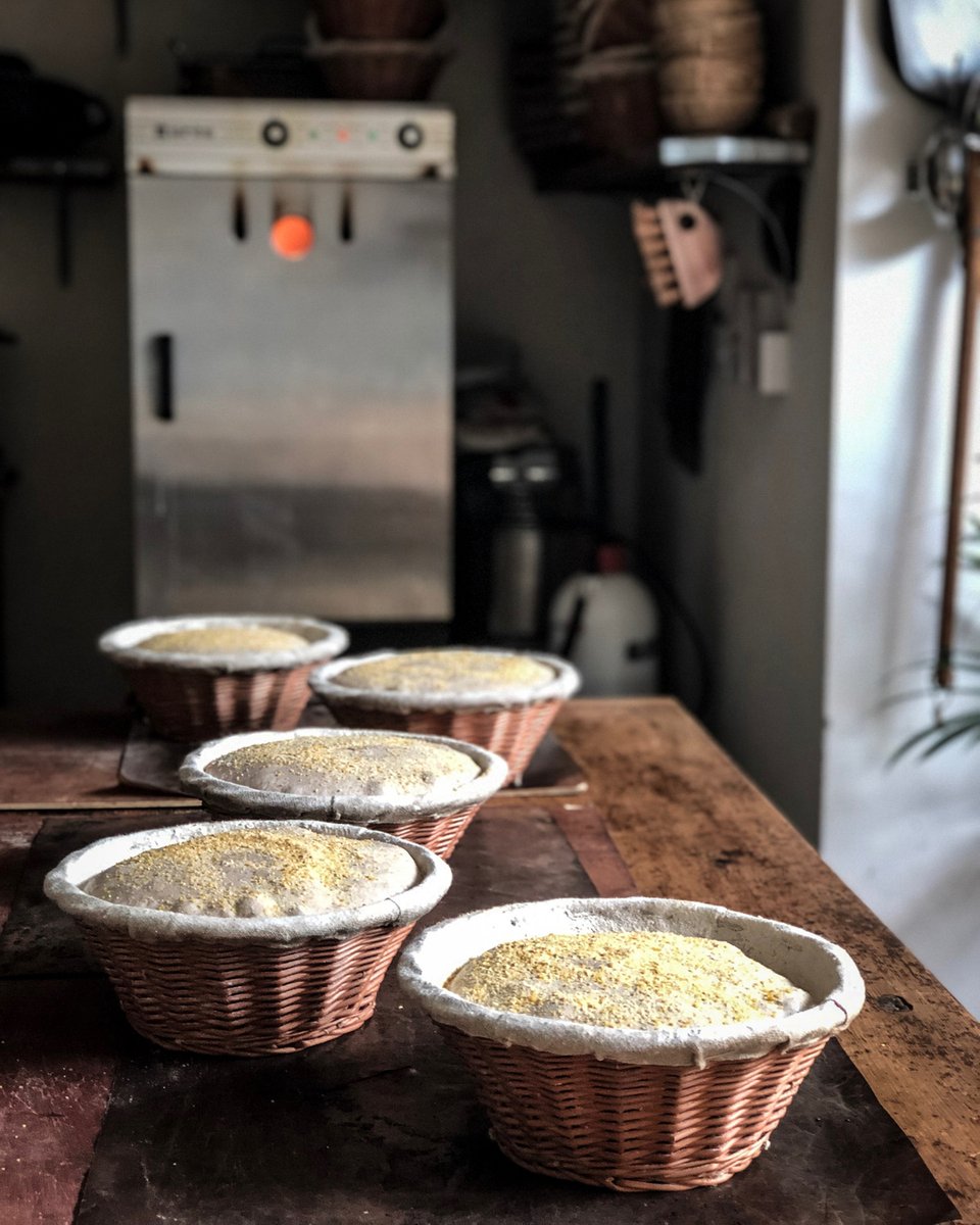 REQUEST A PROSPECTUS

If you are interested in finding out more about our Bake for Health Certificate, Nutrition &amp; Digestibility of Bread Diploma or Teaching Bread for Health Diploma, you can request a prospectus via our website.

You can also arrange a quick chat with Vanessa Ki