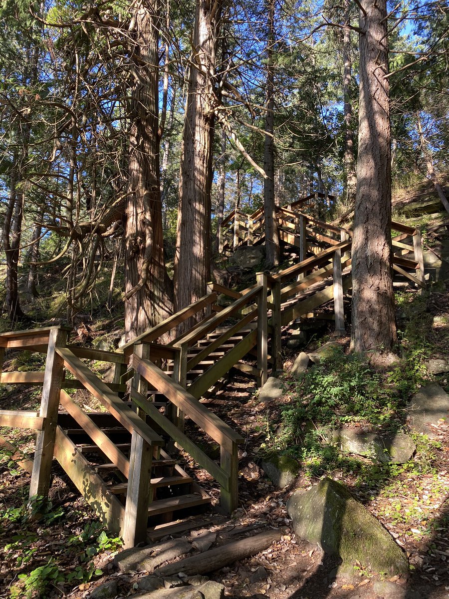 chbnr12's tweet photo. A few more from my gorgeous walk last night. Feeling it today though. Worth it!!
#vancouverisland #jackpoint #mypeakchallenge #mpc #vipeakers #bcpeakers #peakerstrong https://t.co/197uUVE5G6