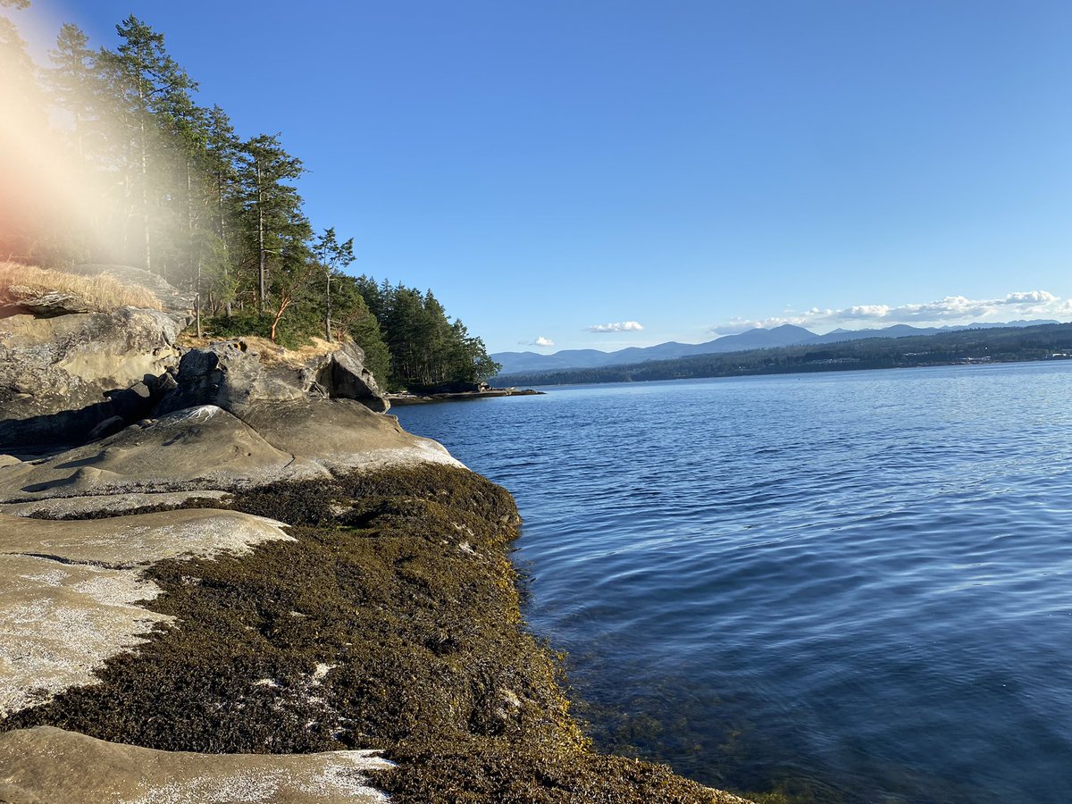 chbnr12's tweet photo. A few more from my gorgeous walk last night. Feeling it today though. Worth it!!
#vancouverisland #jackpoint #mypeakchallenge #mpc #vipeakers #bcpeakers #peakerstrong https://t.co/197uUVE5G6