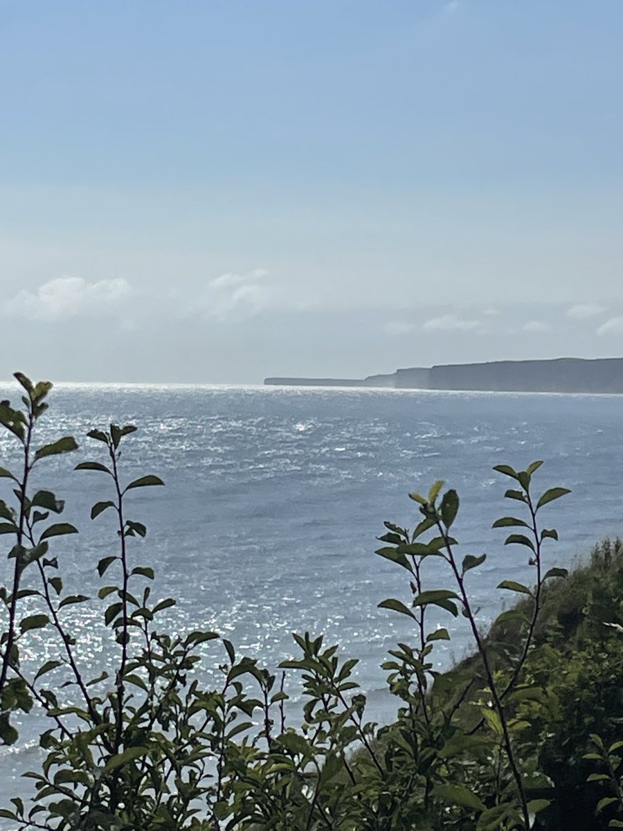 JCadd's tweet image. Great end of term 8 mile sponsored walk, hard to beat!