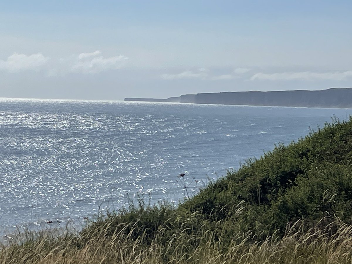 JCadd's tweet image. Great end of term 8 mile sponsored walk, hard to beat!