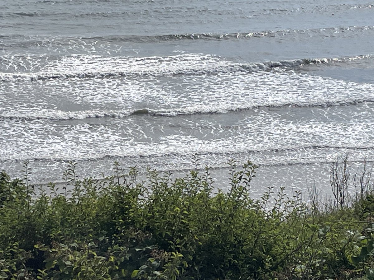 Great end of term 8 mile sponsored walk, hard to beat!