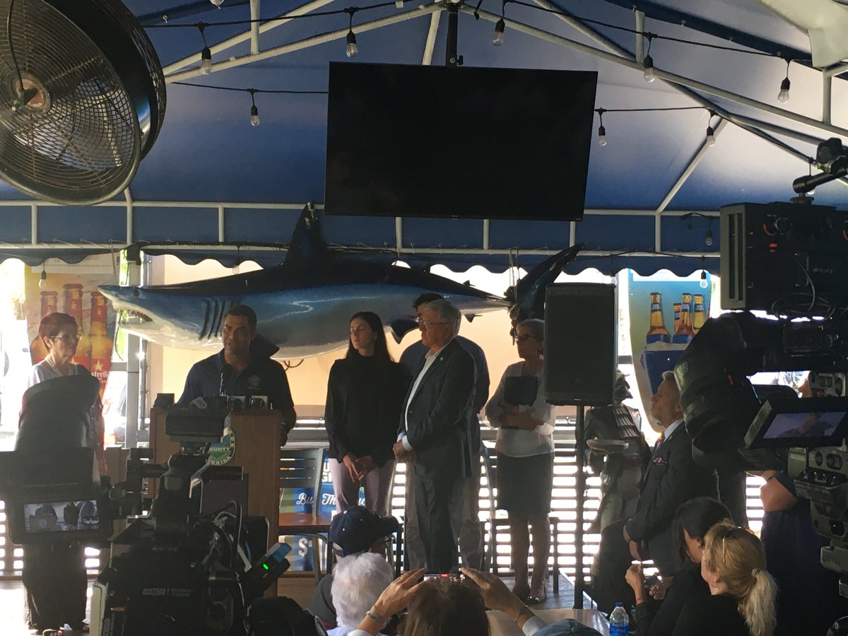 John Suarez ن tweet media