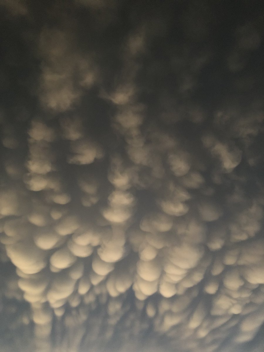 Jenello55's tweet photo. @WEWS https://t.co/KdFMem4gxR