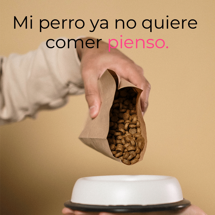 ComprarDietaBARF.es tweet media