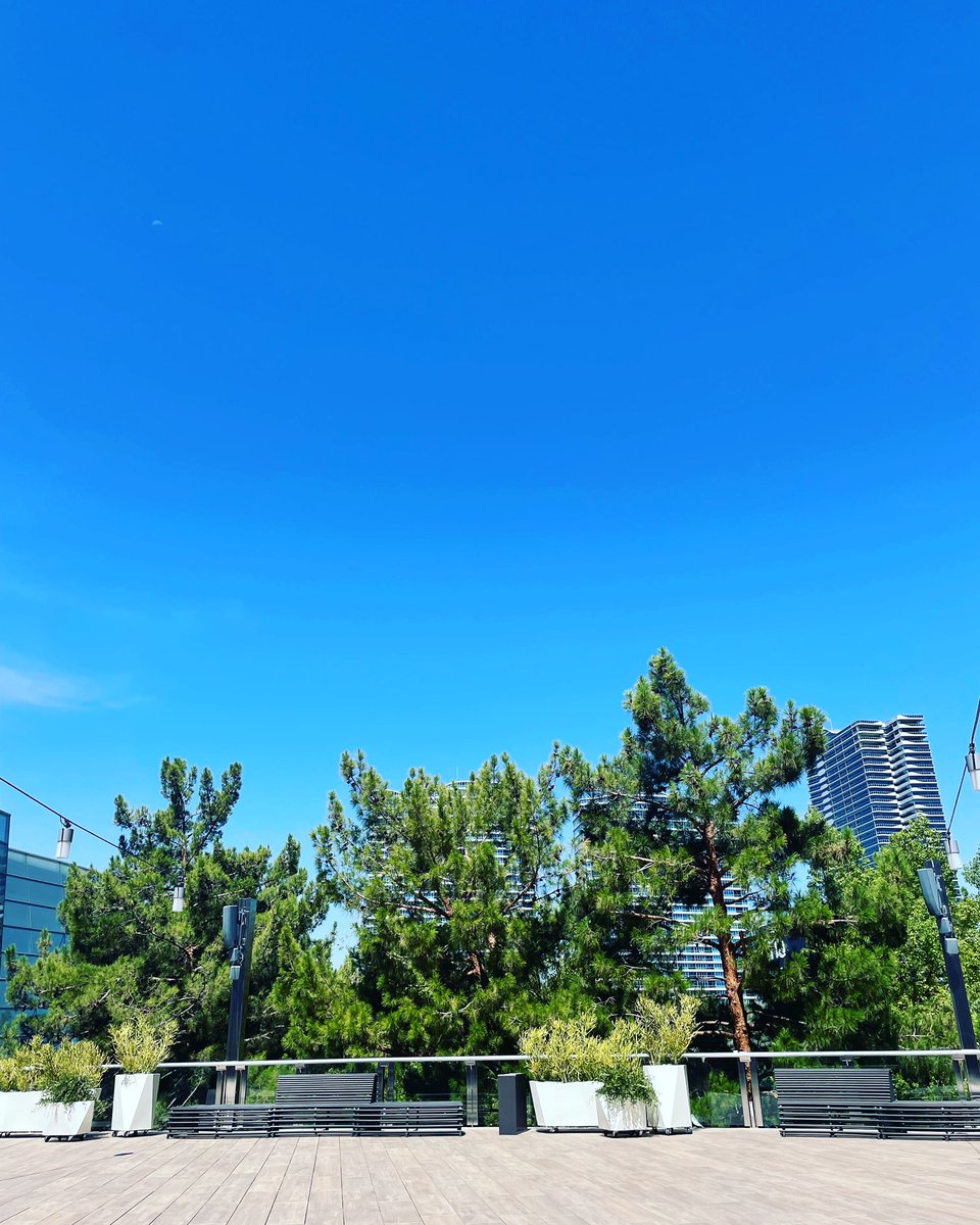 valueofaloonie's tweet photo. The quietest spot in Vegas ❤️ https://t.co/Yqp1ETb5d3