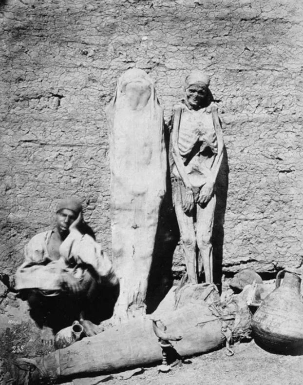 janeyellene's tweet photo. A street vendor sells mummies by the Pyramids in Egypt in 1865 https://t.co/txhR7J51sp