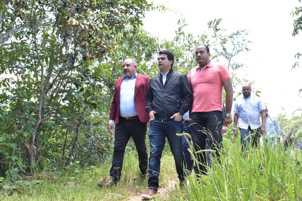 Wellington Arnaud B tweet media