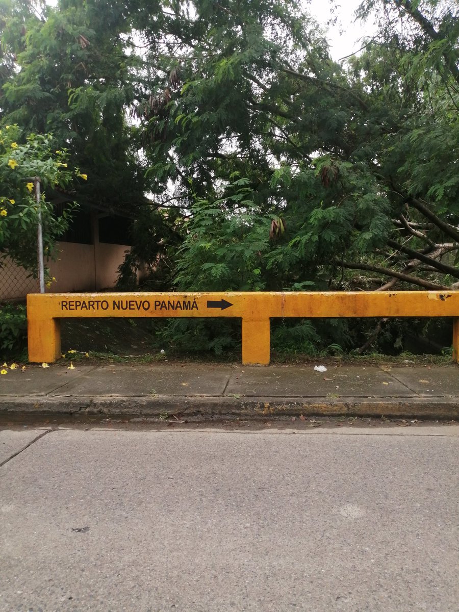 Reparto Nuevo Panamá tweet media