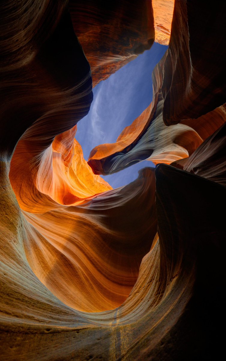 Nature Space (@naturespace_) on Twitter photo 