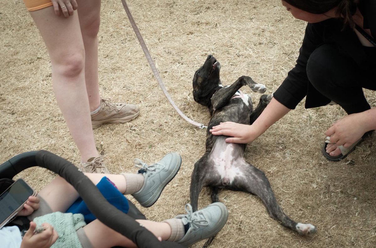 A selection of photos from my first ever trip to #DriffieldShow #agriculture #farming #yorkshire 3/3