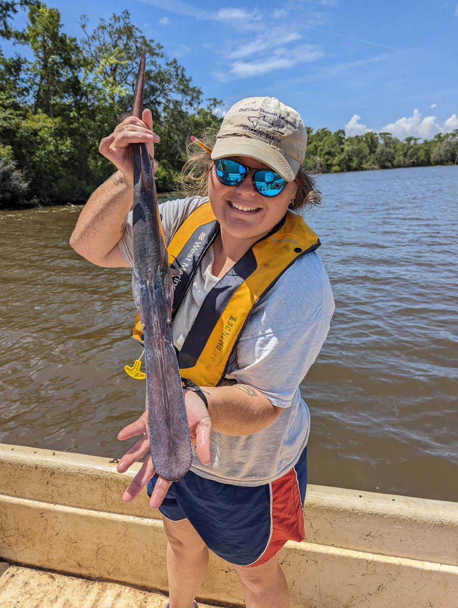 KaseaPrice's tweet photo. Yesterday was a great day on the Pearl River with @Wormy_Sturgeon and the @soseusm Marine Ichthyology class! #gulfsturgeon #acoustictelemetry #paddlefish #spoonbillcatfish https://t.co/jzwx3Osxow