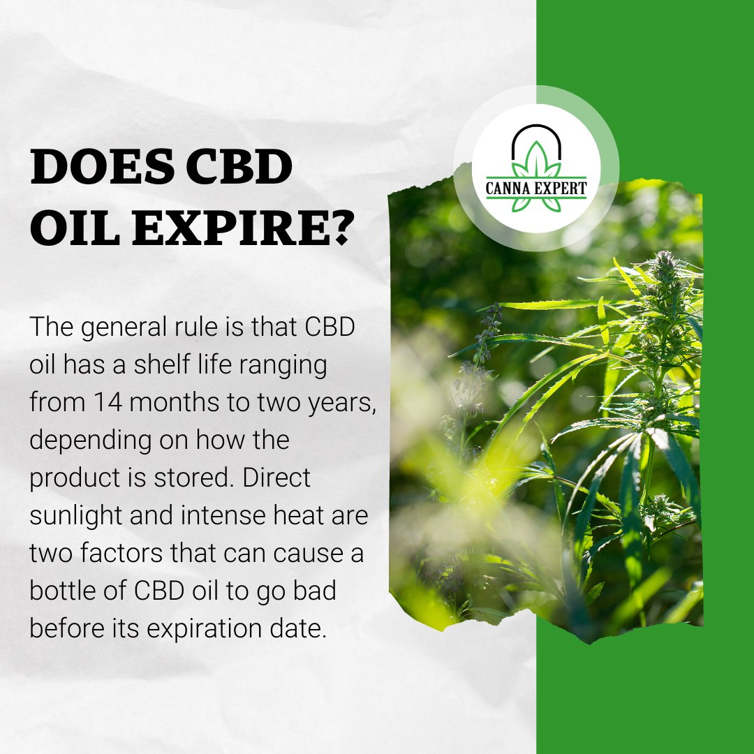 BeloBiz_com's tweet photo. Did you know?
#cbd #cannabis #cbdvape #hemp #cannabiscommunity #cbdoil #cbdhealth #cbdproducts #cbdlife #cbdmovement #cbdcommunity #vape #cbdwellness #cbdheals #health #medicalmarijuana #cbdbenefits #wellness #organic #smoke #weed https://t.co/oL3YO3mRHB
