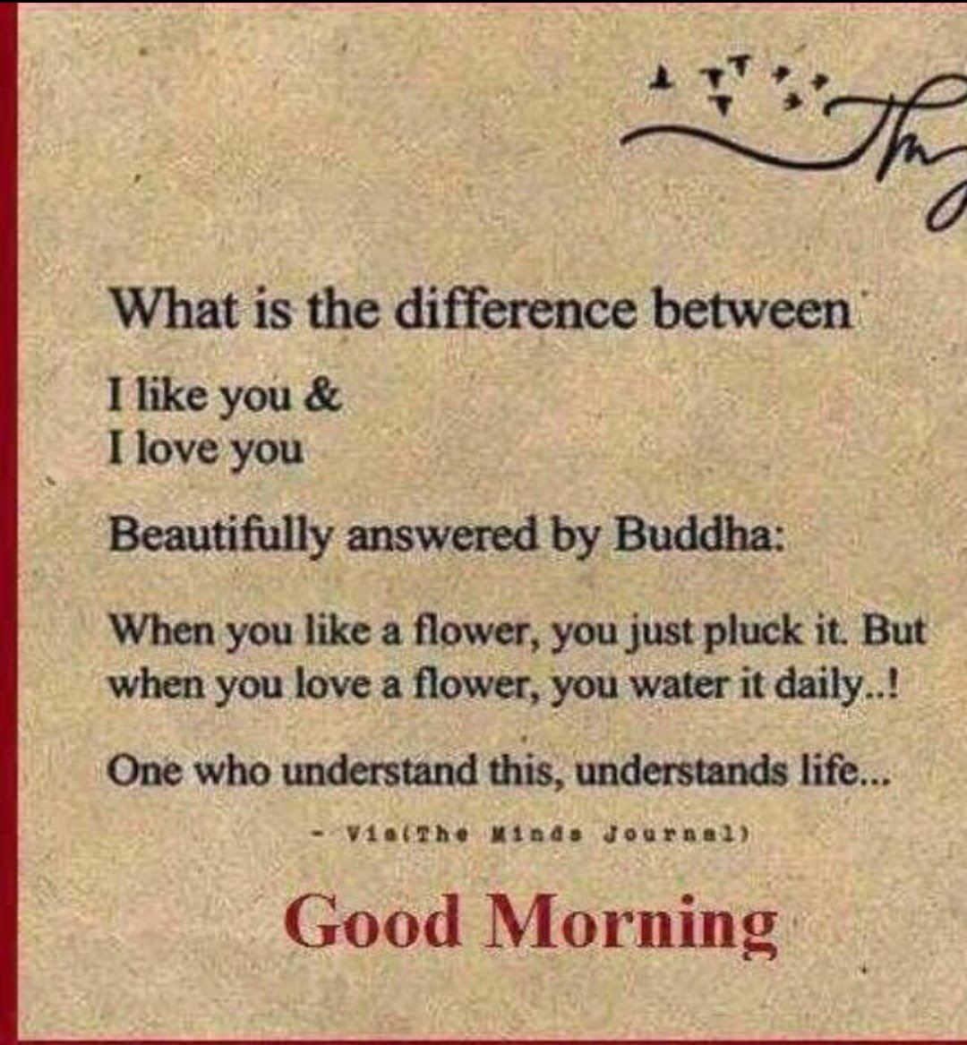 Like vs Love