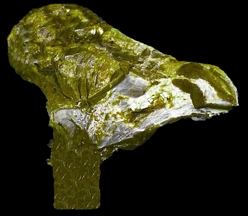 TwitchingMeatAS's tweet image. #Twitching meat is now available on 

@opensea: opensea.io/collection/twi…

Watch on @youtube: youtube.com/watch?v=J1Vohi…

#NFT #NFTs #NFTProject #NFTdrops 
#NFTCollection #nftart @garyvee #NFTdrop #Vegan 
#nftcollector #nftnews #ETH #BTC #meat #twitching