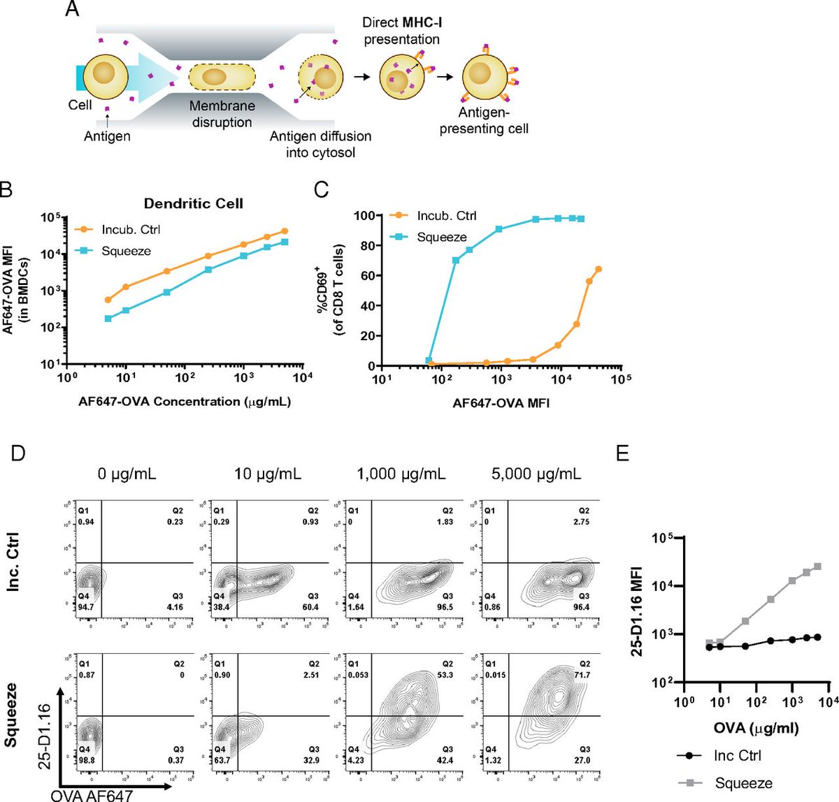 J_Immunol's tweet photo. Congratulations @J_Immunol #20MostRead Scott M. Loughhead @SQZBiotech | #Microfluidic Squeezing Enables #MHCI #AntigenPresentation by Diverse #ImmuneCells to Elicit #CD8TCell Responses with #Antitumor Activity #ReadtheJI #immunology https://t.co/9OvjaTv8GO https://t.co/dOJYVvoCkN