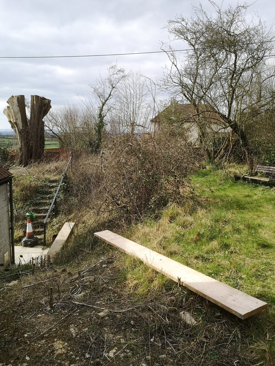 Ex Polytunnelhermit 🌿 tweet media