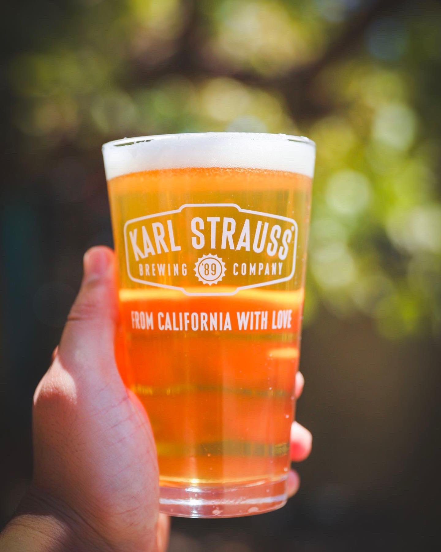KARL STRAUSS Brewing ~ CALIFORNIA ~ Enjoy Your Session BEER Collectible STICKER 