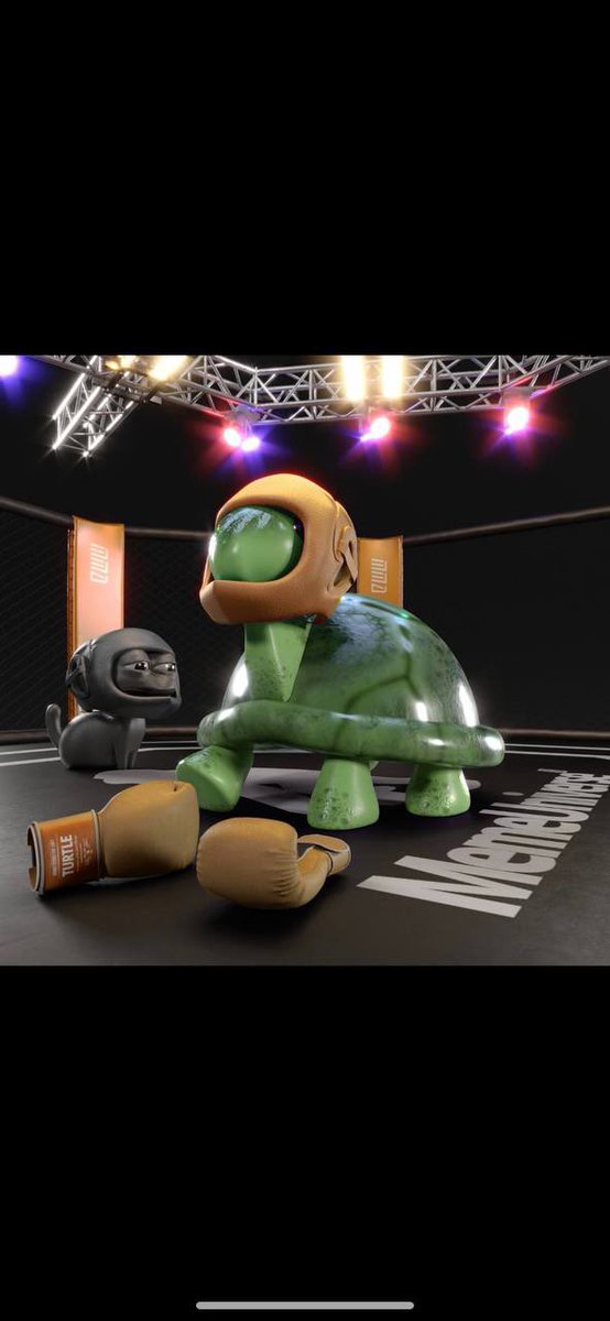 🦁 Xander 👑 tweet media