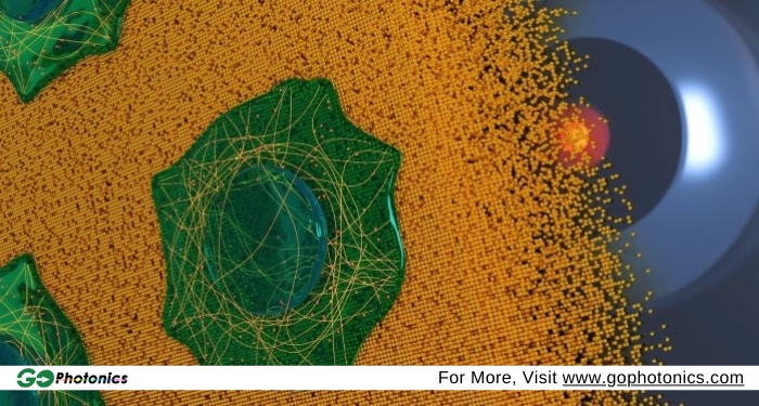 gophotonics's tweet photo. Göttingen University Researchers Achieve Isotropic Super-Resolution Imaging
Read More https://t.co/3exBUWmtJu
@uniGoettingen #achieve #isotropic #super #resolution #imaging #optical #Laser #technique #Biology #application #Insights #INDUSTRY #photonics #news https://t.co/ih1v2z0scB