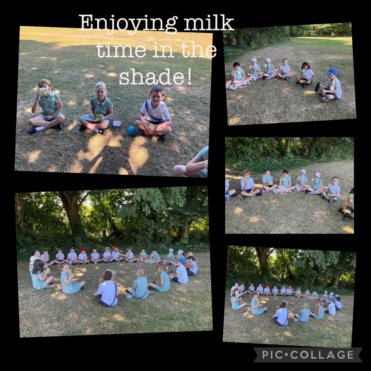 cwp_usk's tweet photo. Dosbarth Usk enjoying their morning milk time out in the shade. @cwp_usk @cwprimary https://t.co/xkUotYGemb