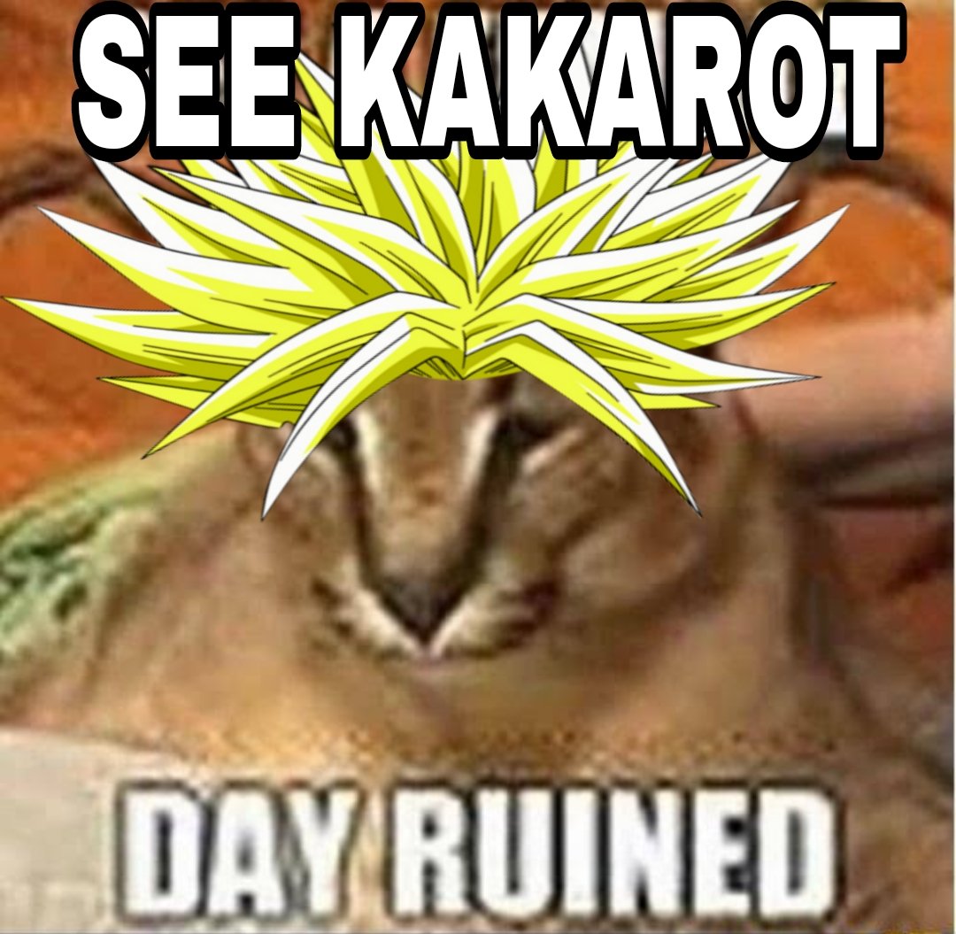 Broly (@brolymoment) on Twitter photo 