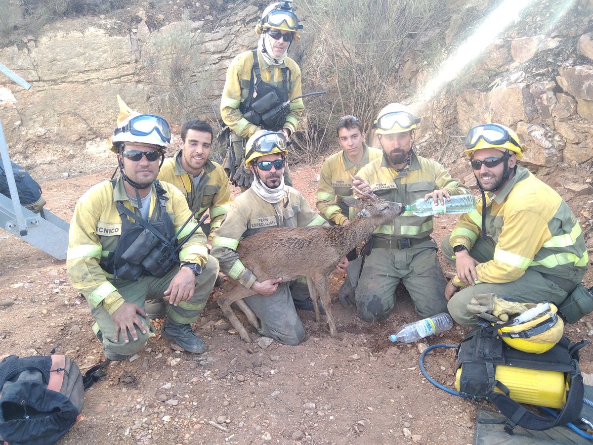 JORGELAMRET's tweet photo. Muy muy orgulloso de los chavales del Zulu 2    "fundidos" como estan y oor todo lo q han pasado...y todavia han sacado fuerzas para salvarle la vida a este amigo deshidratado.  Rumbo al CRAS para su recuperación.  #IFLosacio. @apamcyl  @INFOCYL @El_Batefuegos @IncendiosES https://t.co/M7esTgPbiu