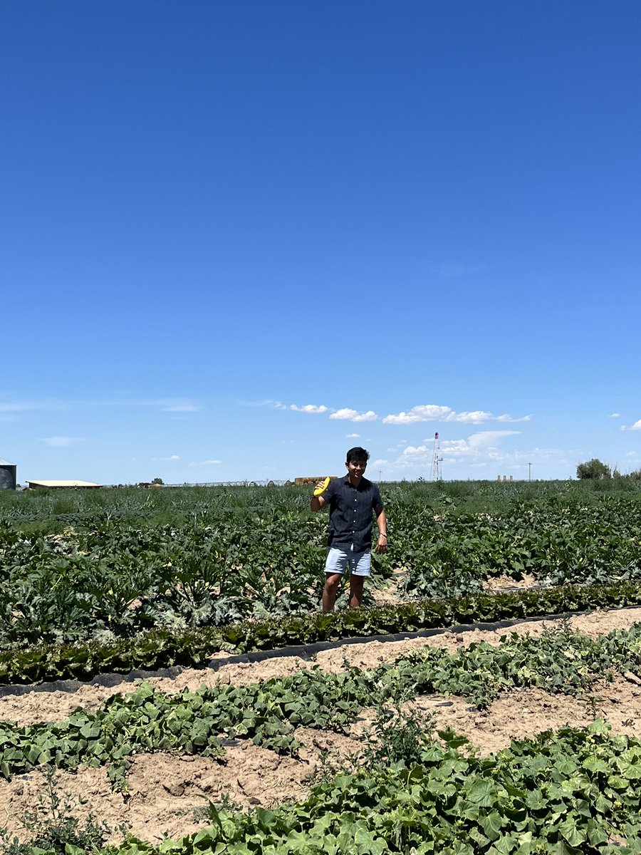 Kar0linaa1's tweet photo. Such a fun day with @coloradoproduce. #shoplocal #CFVGA #CFVGAproduce https://t.co/oFXaRCqwSt