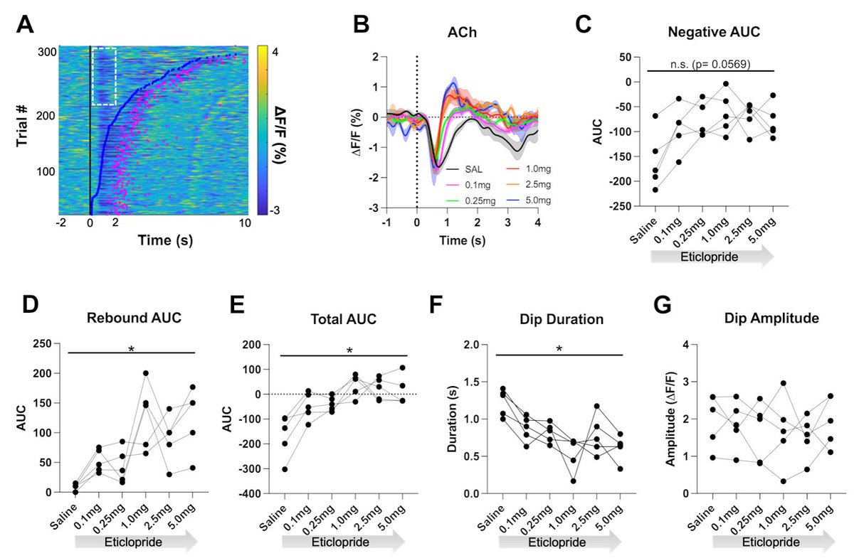 Kelly Martyniuk's manuscript on dopaminergic regulation of striatal acetylcholine levels during behavior is out elifesciences.org/articles/76111