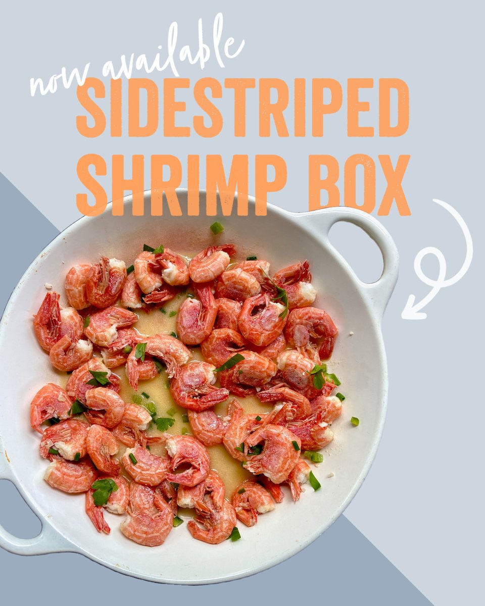 🦐AVAILABLE UNTIL SOLD OUT!🦐
Sweet and briny, sidestriped #shrimp are one of five different species of shrimp found in Alaskan waters!

Order your one-time 🦐🦐🦐 box here: bit.ly/SidestripedShr…