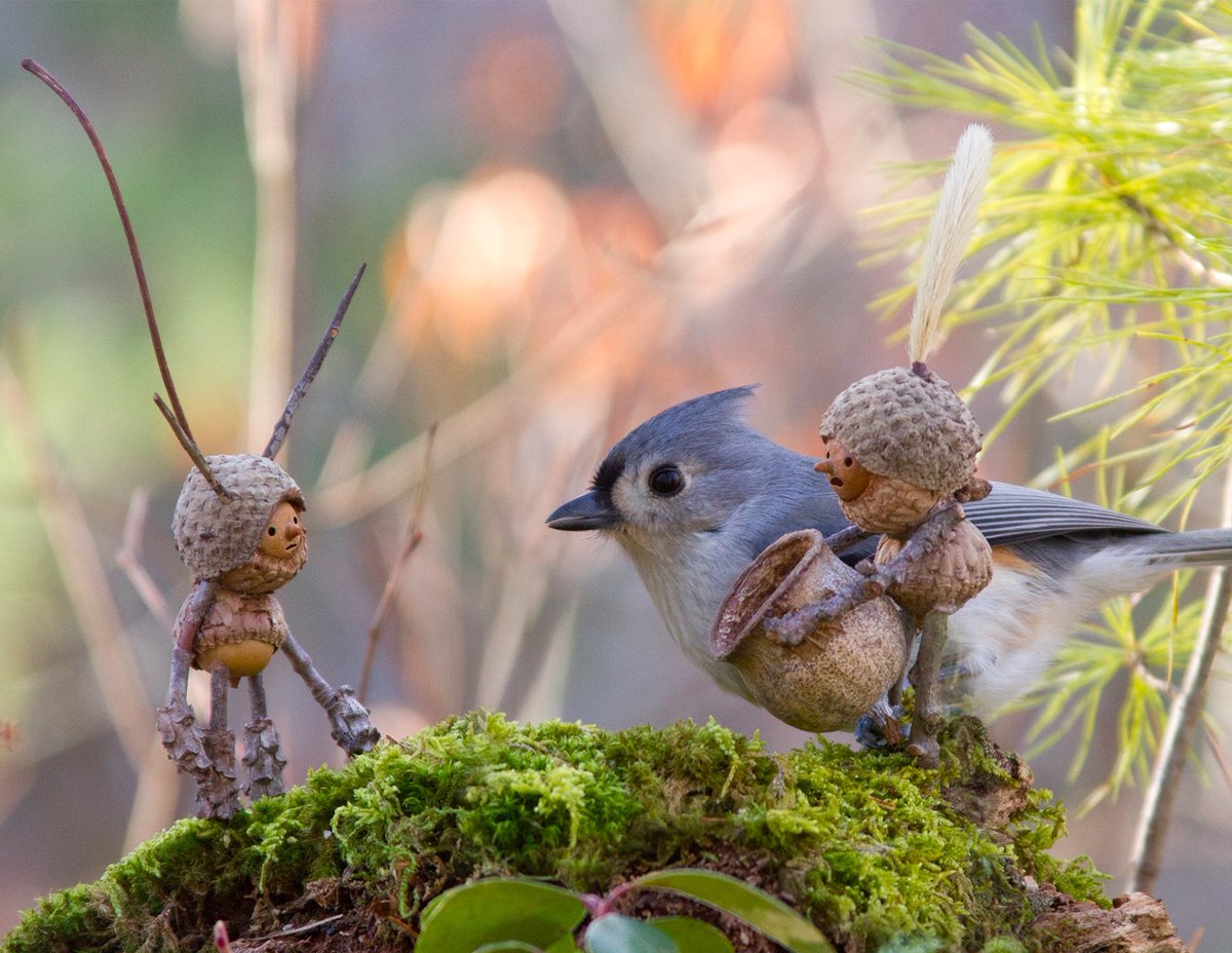 ElliottBlackwe3's tweet photo. I love the magical world David M Bird creates with figures made of acorns and twigs. https://t.co/mLJ6HOIsVY
