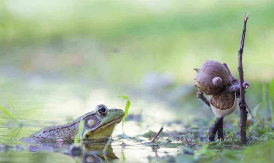 I love the magical world David M Bird creates with figures made of acorns and twigs.