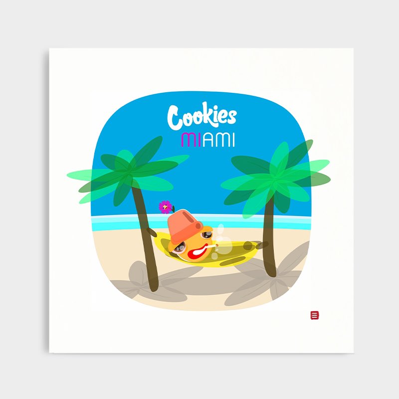 Romi Myers | mundo_da_romi tweet media