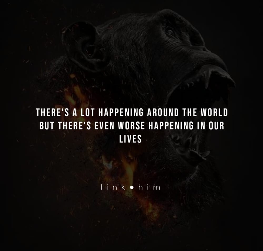 linkdothim's tweet image. 