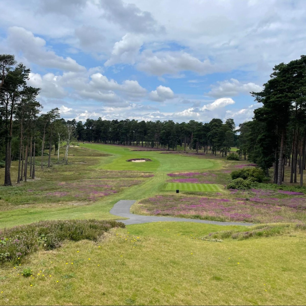 simprosoftware's tweet photo. 🏌 Lee Graves, Account Mgmt Team Leader, UK is ticking off one of his bucket list items - playing the top 100 UK courses - thanks to our #Flex4 workweek!
Start checking items off your bucket list!
We're hiring! Check out our open positions!
https://t.co/YAXk1CwPIp https://t.co/nFNnfZWPMG