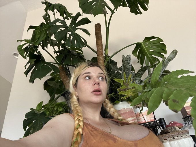 Thinking about turning my jungle bathroom into a jungle HOUSE~ https://t.co/ccdckZxgQq