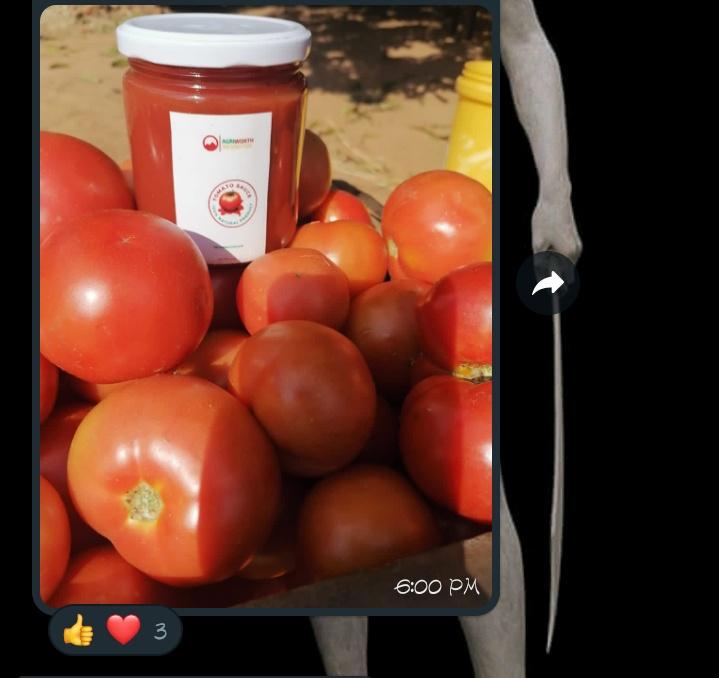 Munalula91's tweet photo. The Zambian Women in Agriculture Research and Development (ZaWARD), helped farmers in Mwalumina make tomato sauce...ππΌππΌ.
I am proud to be a member and I want to learn more...β€οΈ
#farming
#Women
#agriculture
#ZaWARD https://t.co/pVWloY9CvG