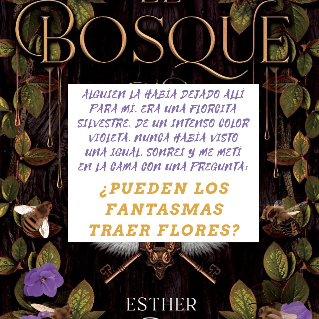 Soy Bibliotecario tweet media