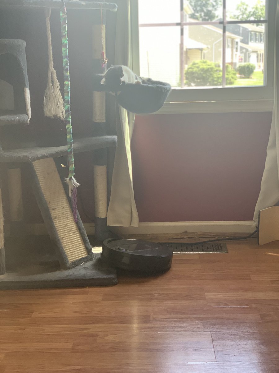 Stop disturbing my nap