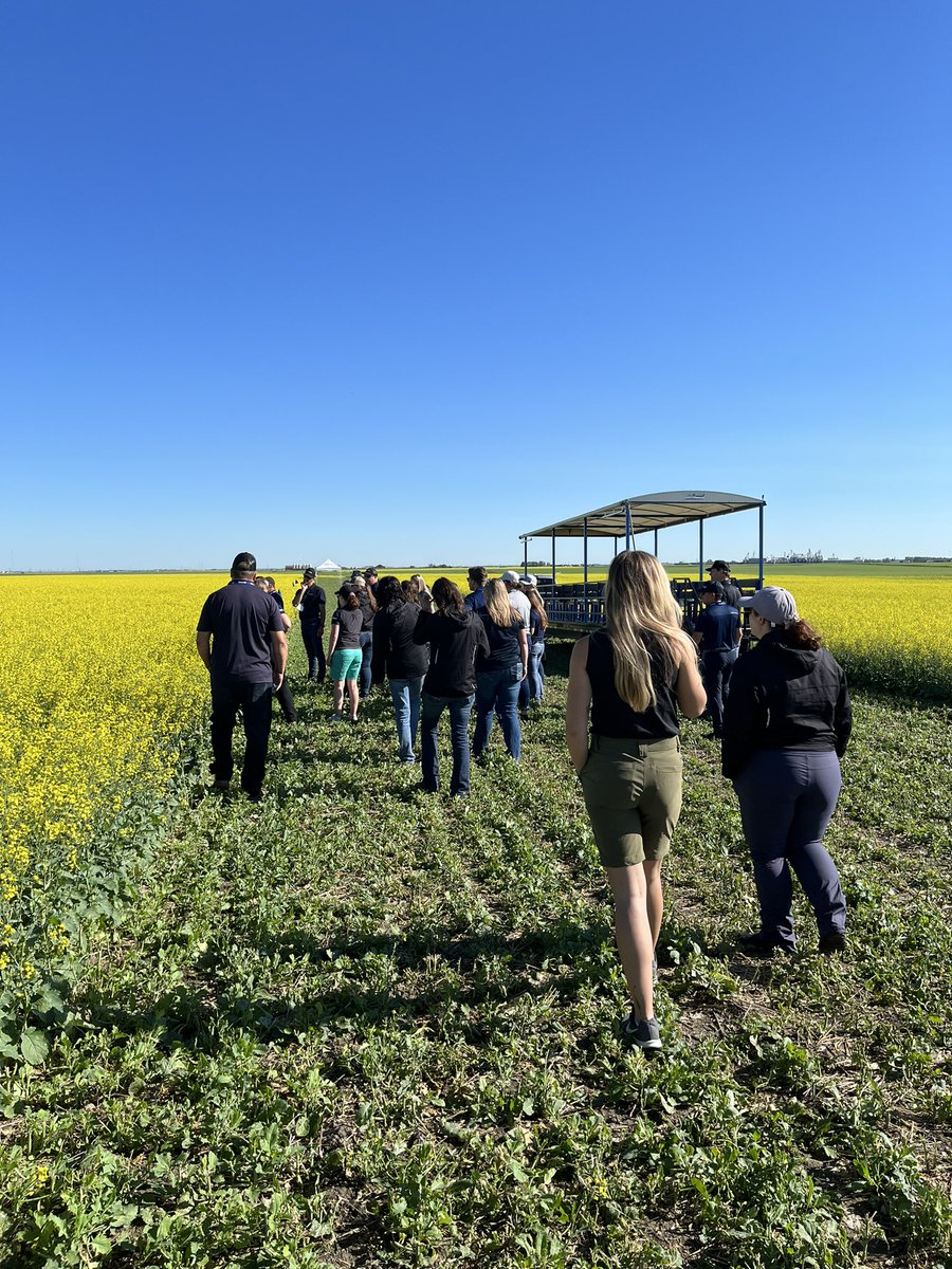Day 2 of #RichardsonPioneer #CropWatchInnovationTour2022 and the field is dry enough to tour the trials. We looked at the fields that included variety strip trials, seed depth trials, fertilizer seed safety, nitrogen loss inhibitors, and much more! #agronomy