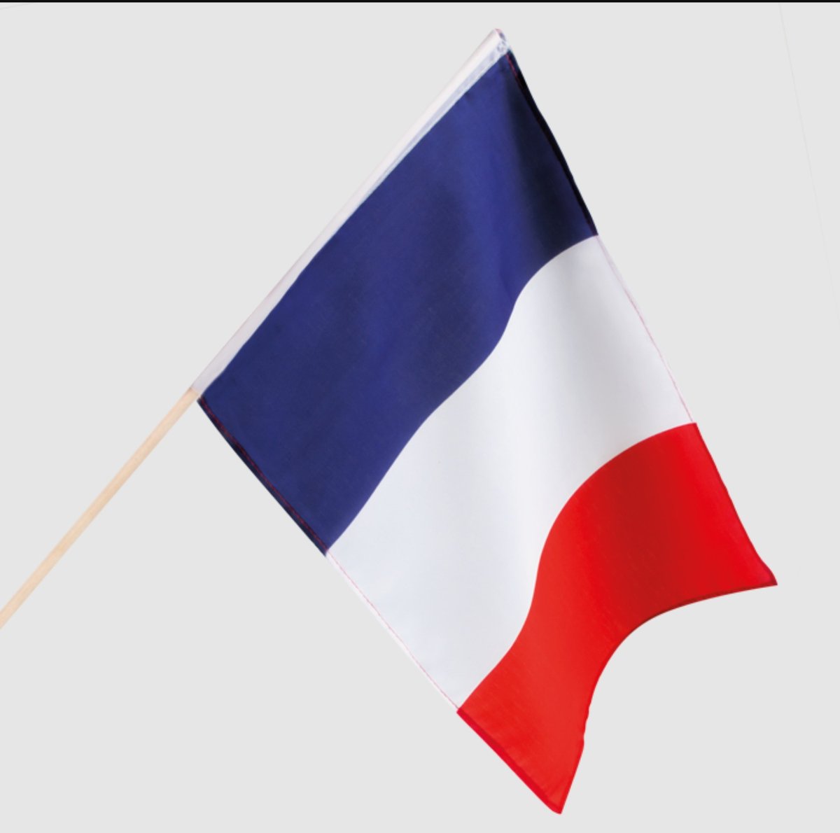 AlexandreBUI4's tweet image. C'est mon drapeau ! C'est notre drapeau ! 

Nous devons le défendre et le représenter dignement, le valoriser pour ce qu'il reflète comme symbole !