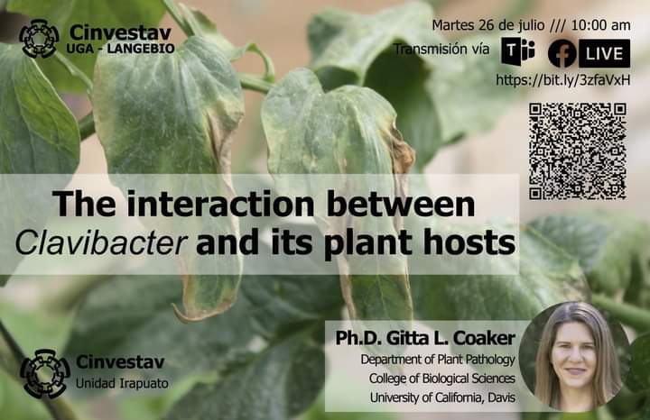 conacofi's tweet photo. Asiste a la conferencia: The interaction between Clavibacter and its plant hosts.
Mayor información en: 
https://t.co/oczJT1U9Ye https://t.co/uYOk1Uasx4