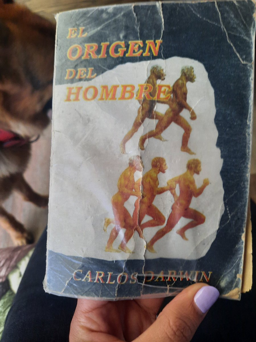 Aprovechando el tiempo en casita