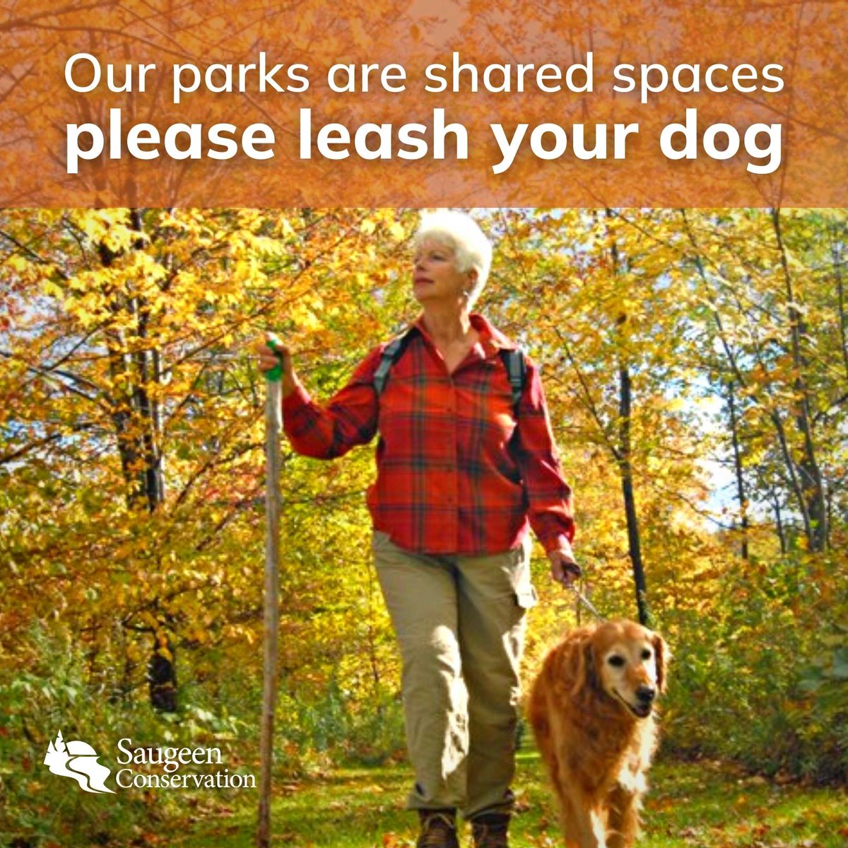 saugeenca's tweet photo. Our parks are shared spaces.  Not every dog visiting might want to make friends.  Keep all pets and yourself safe by keeping yours on their leash.

#SaugeenConservation #DogsOnLeashes #ConservationOntario https://t.co/6cnVjR9vxz
